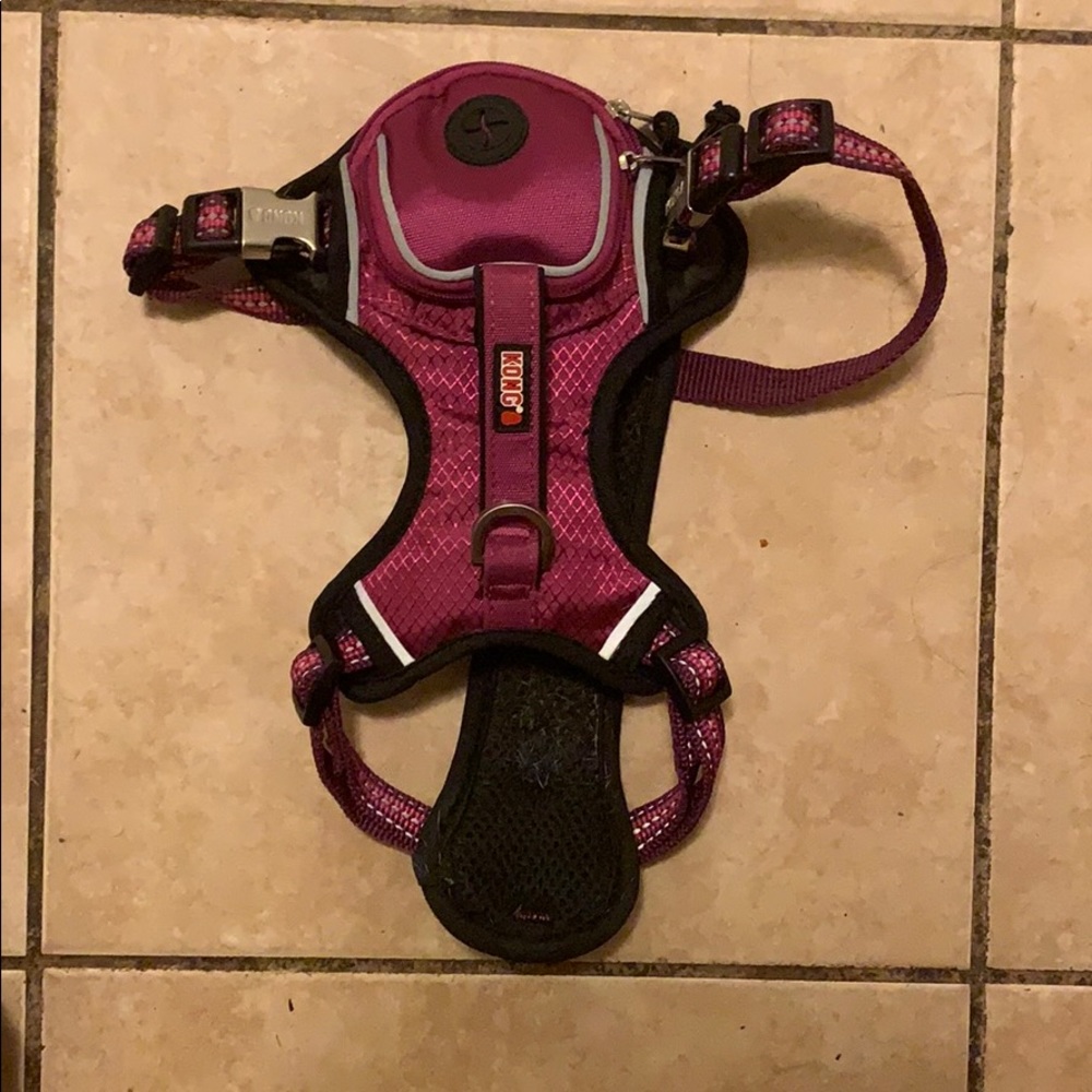 Dog walking harness